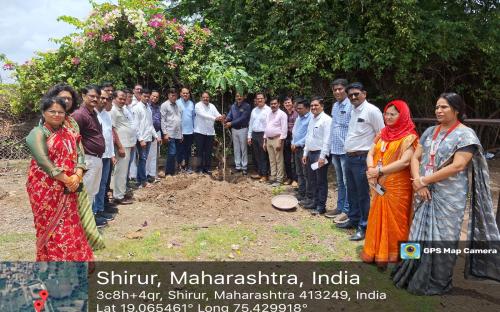 Tree Plantation 