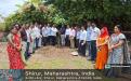 Tree Plantation 
